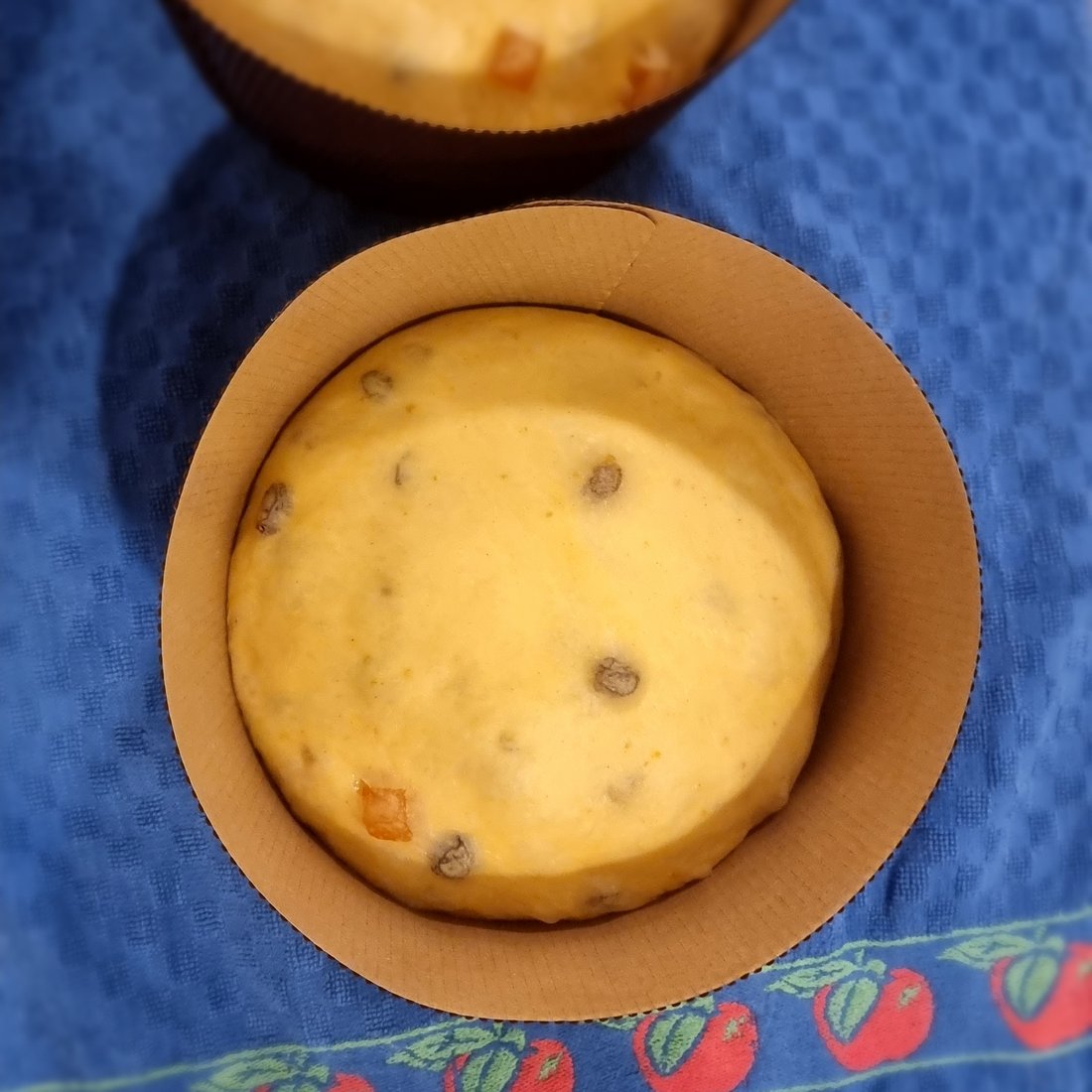 Impasto di panettone nello stampo, prima della cottura