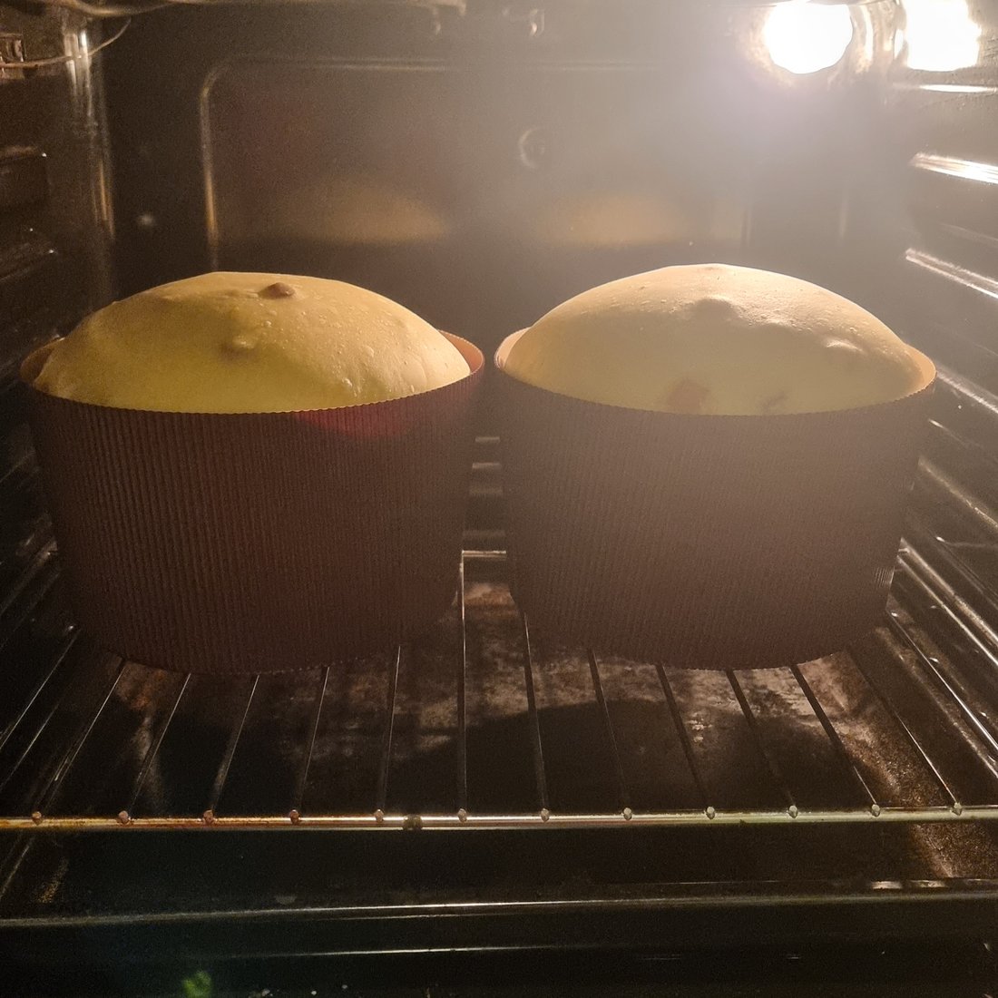 Panettoni nel forno durante la cottura
